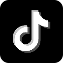 Standard TikTok Logo